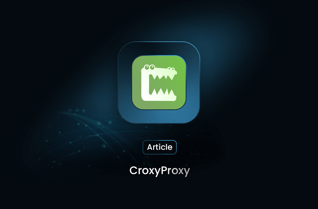 How to Use CroxyProxy: Complete with Usecase